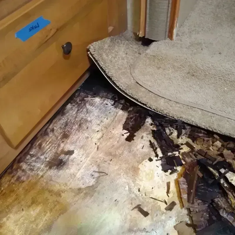 Wood Floor Water Damage in Andalusia, IL